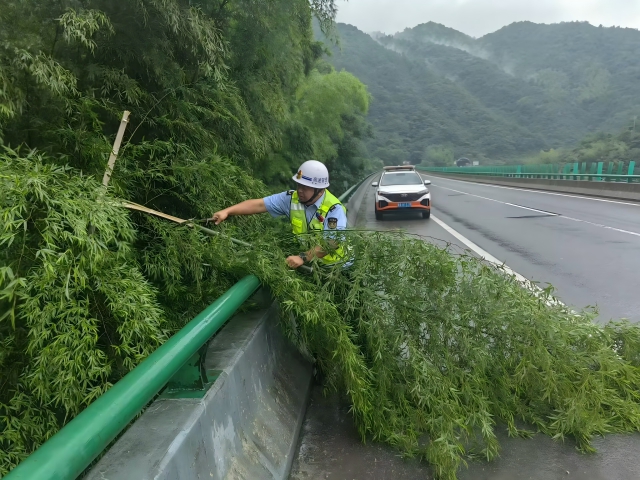 05 臺(tái)風(fēng)格美登陸在即，7月26日 六安西中心管控部巡路員柴夢(mèng)麒清理侵占路面的毛竹(1).png