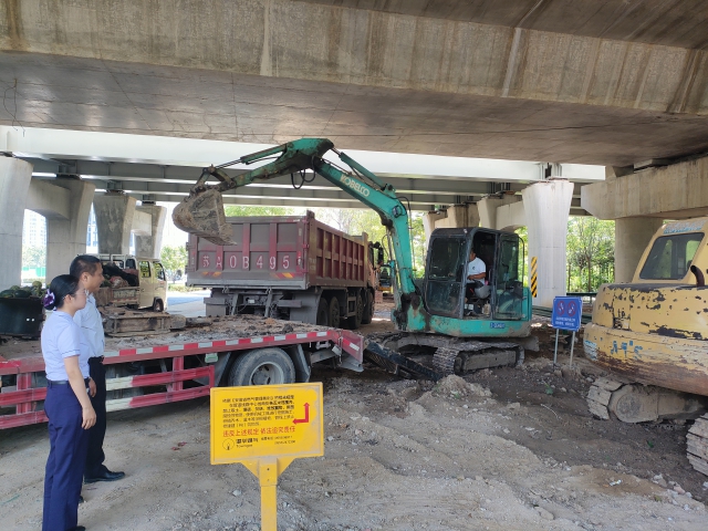 08 馬鞍山中心至高速公路橋下空間開(kāi)展檢查與治理.jpg